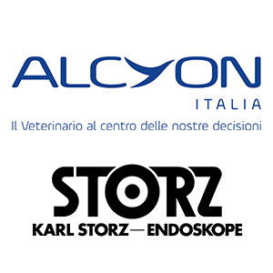ALCYONSTORZ